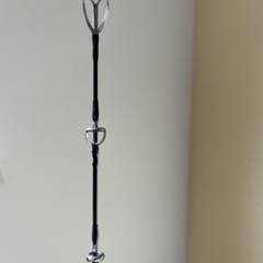 ミュートスソニオの画像