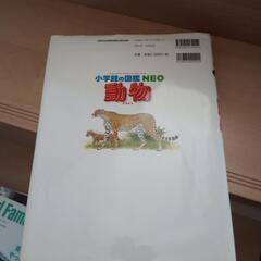 動物図鑑🎀の画像