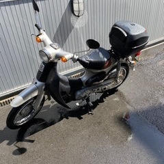 リトルカブ