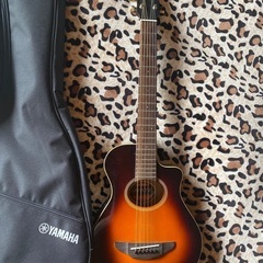 ヤマハapxt2の画像