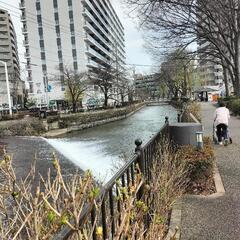 酒代位は奢ります、暖かくなってきたので広瀬川で酒持ち寄りで飲みたいです