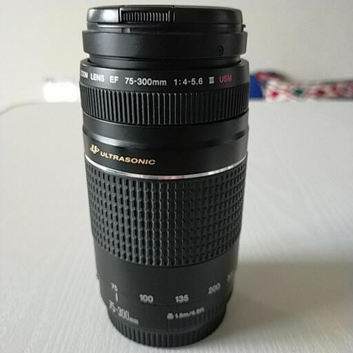 【終了】canon EF 75-300㍉ズームレンズF4-5.6Ⅲ USM