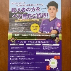 3/19(日) サンフレッチェ広島 VS 柏レイソル【QRコードチケット1名様分】の画像