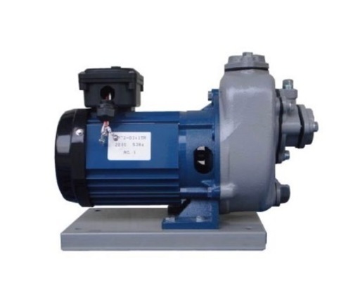 【値下げしました_掘り出しモノ】寺田ポンプ　水汲み揚げ用