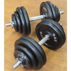 ♪WILD FIT/ワイルドフィット/WFG ダンベル 約59.8kg♪