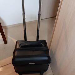 ペットキャリー 譲ります