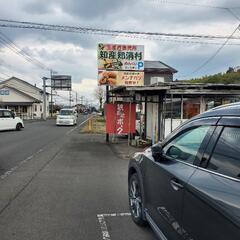  三股町蓼池 地産地消村、百姓市場 改良めだか 毎日販売中