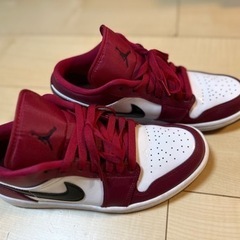 【決定】NIKE 電気敷パットセットの画像