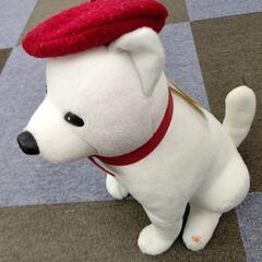 0円｢Softbank｣お喋り,お父さんワンちゃんの画像