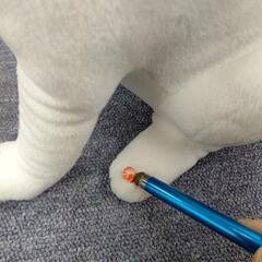 0円｢Softbank｣お喋り,お父さんワンちゃんの画像