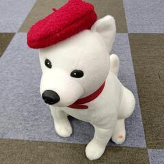 0円｢Softbank｣お喋り,お父さんワンちゃん