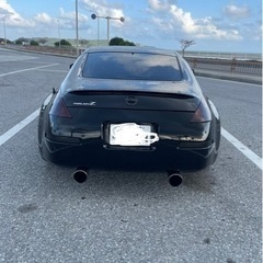 z33   6MTの画像