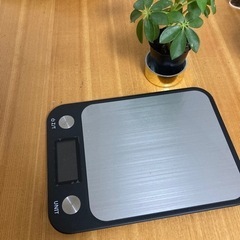 デジタルスケールの画像