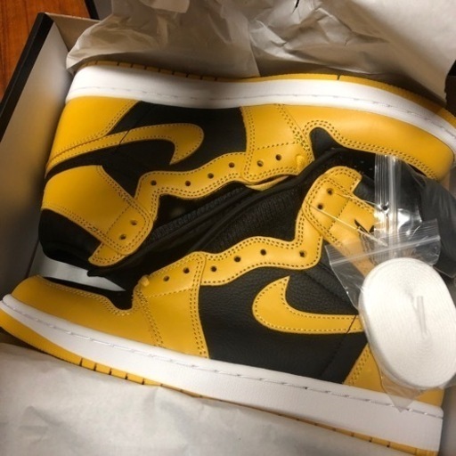 Nike GS Air Jordan 1 High OG "Pollen"／Air Jordan 6 "Chrome 2022"