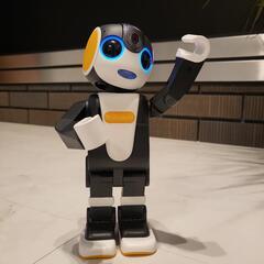 ☆SHARP　ロボホン本体　RoBoHoN 　Wi-Fiモデル☆　SR-04M-Yの画像