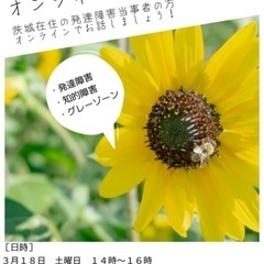 ひまわりオンライン