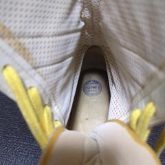 （決定）ランバ−ド　リングシューズ特注品!の画像