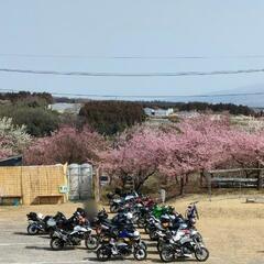 【メンバー募集】バイクツーリング
