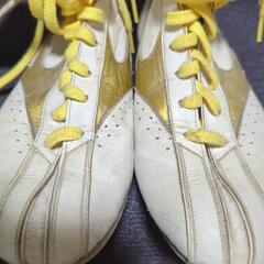 （決定）ランバ−ド　リングシューズ特注品!の画像