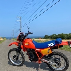 限界値下げ！ホンダ　XLX250の画像