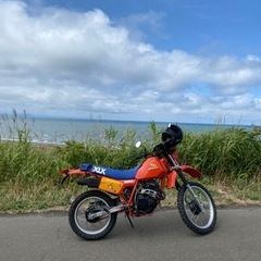 限界値下げ！ホンダ　XLX250の画像