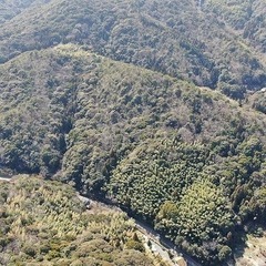 【成約済】山林物件118　山口県熊毛郡田布施町