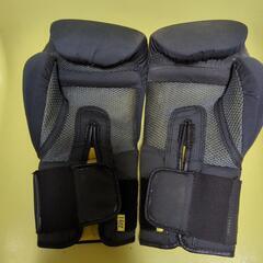 エバーラスト14オンスグローブ中古の画像