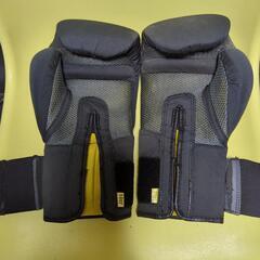 エバーラスト14オンスグローブ中古の画像