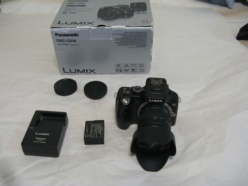 Panasonic DMC-G5 　シャッタ－カウント回数744枚 超美品
