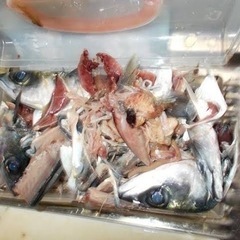 魚を3枚に下ろした後などの骨や皮ください。