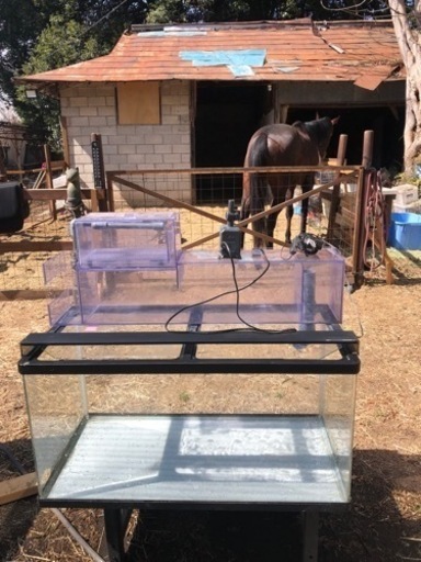 90センチ水槽セット　値下げしました