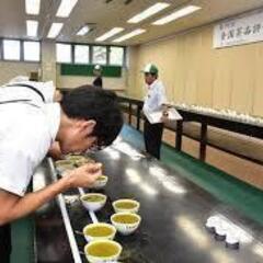 《短期/5/4まで！》時給950円《お茶の入札会場》茶器準備・洗浄 1138435の画像