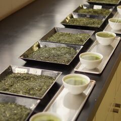 《短期/5/4まで！》時給950円《お茶の入札会場》茶器準備・洗浄 1138435の画像