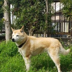 可愛い14歳