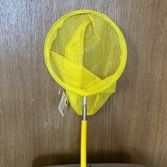 虫取り