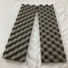 レアルシルドアブソーブLサイズ