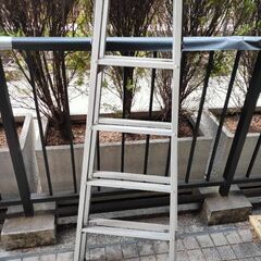 【お取り引き中です】脚立 高さ153cm  中古