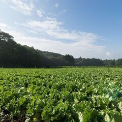 ［午前のみ］【富士見】農作業スタッフ大募集！未経験者大歓迎！！の画像