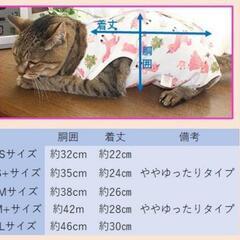 ペット用 術後服 保護服の画像