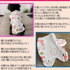 ペット用 術後服 保護服の画像