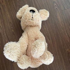 高さ約50センチのワンちゃん