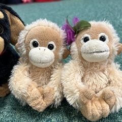 可愛がっていたぬいぐるみ達の画像