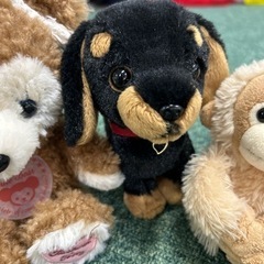 可愛がっていたぬいぐるみ達の画像