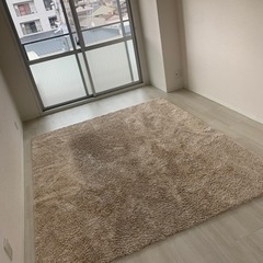 ニトリ(タグPBシャギー200×240)の画像