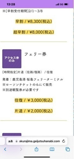 桜島と芸術花火2023のチケット2枚