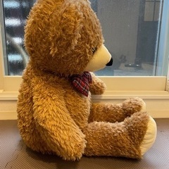 くま ぬいぐるみ 特大の画像