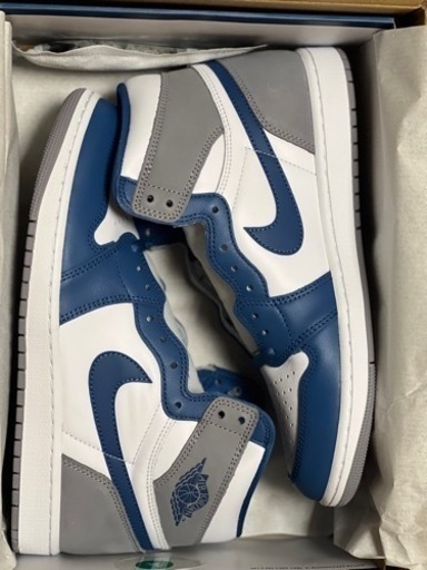 スポーツ jordan1  28cm