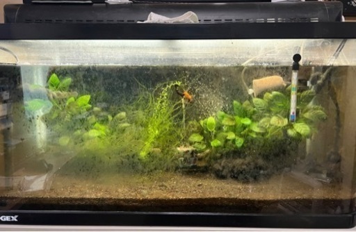 【値下】GEX 90cm水槽セット、水槽台付き