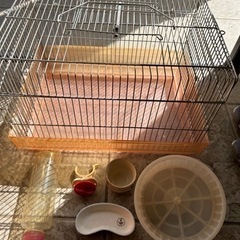 ハムスター飼育セット　鳥籠にも？の画像