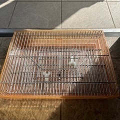 ハムスター飼育セット　鳥籠にも？の画像